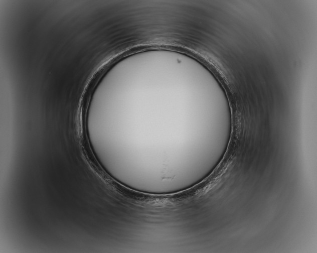 X0000094800982200712071202