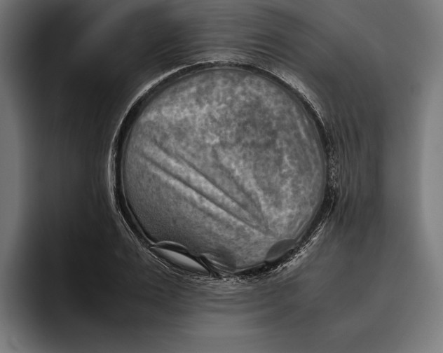 X0000094800983200712071202