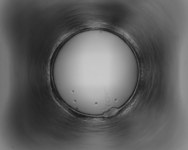 X0000094800986200712071202