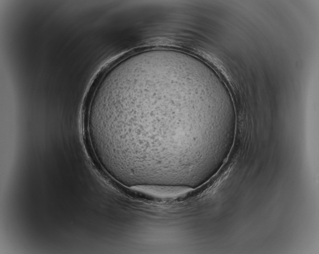 X0000094800987200712071202