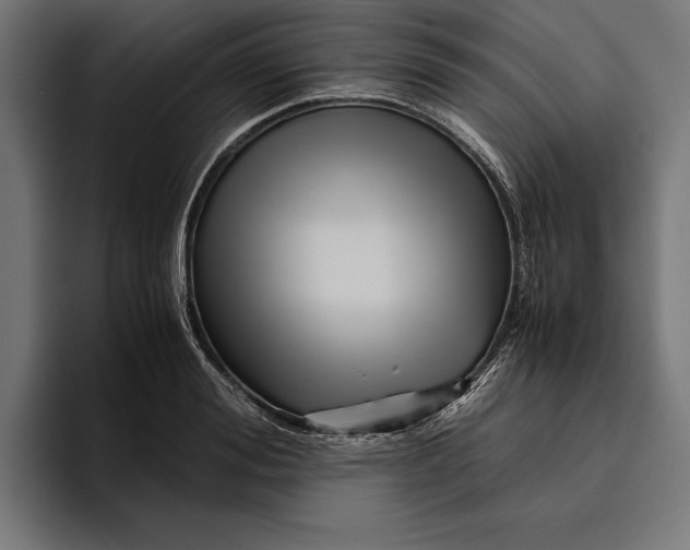 X0000094800988200712071202