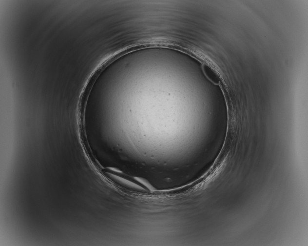 X0000094800989200712071202