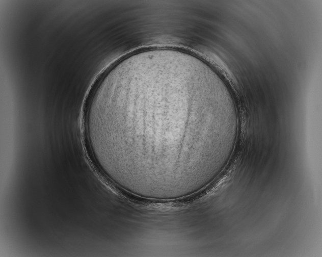 X0000094800990200712071202