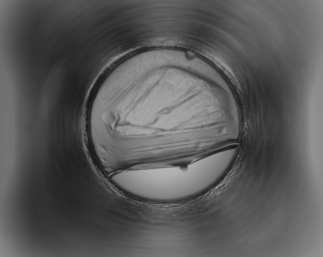 X0000094800992200712071202