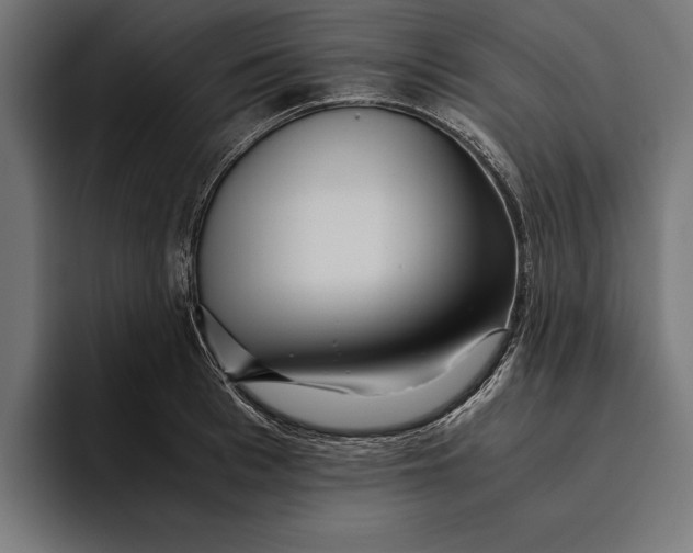 X0000094800993200712071202