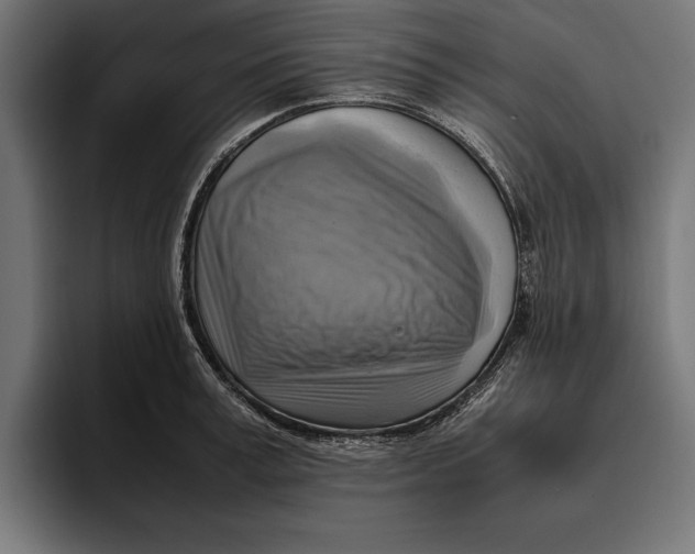 X0000094800995200712071202