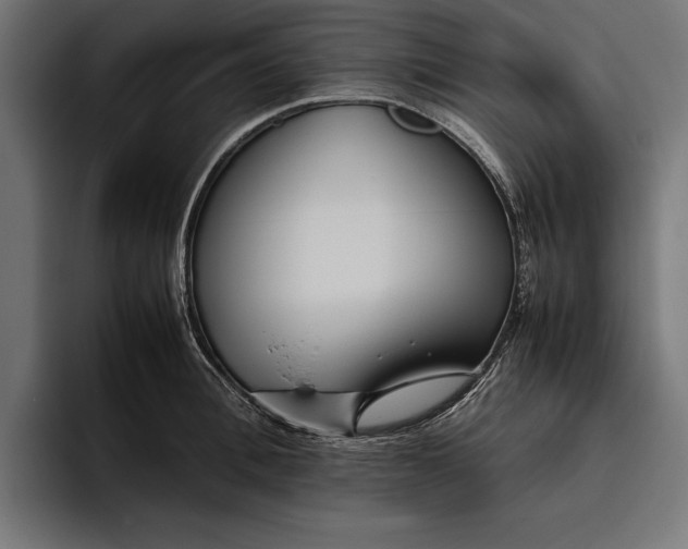 X0000094800996200712071202