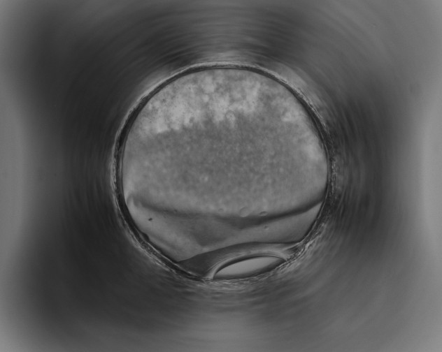 X0000094800998200712071202