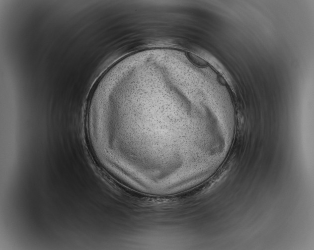 X0000094801002200712071201