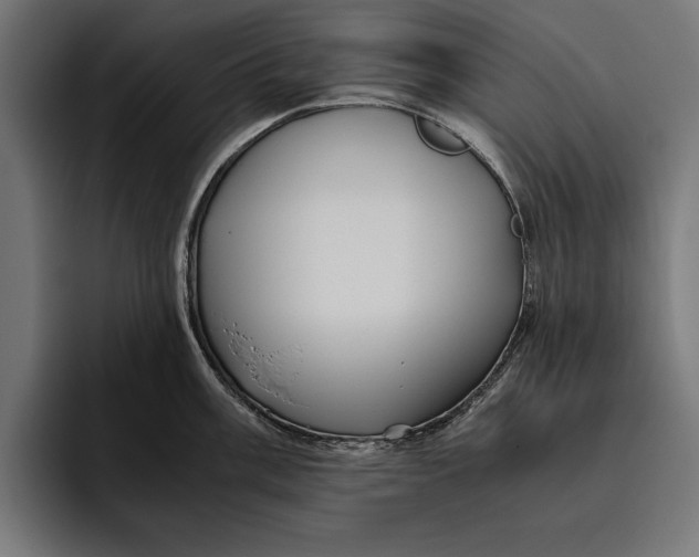 X0000094801003200712071201