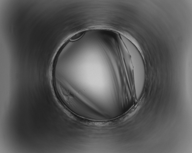 X0000094801005200712071201