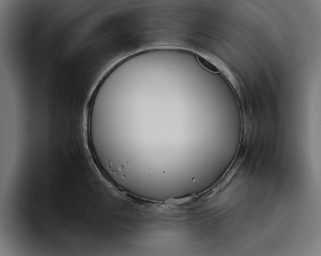 X0000094801006200712071201