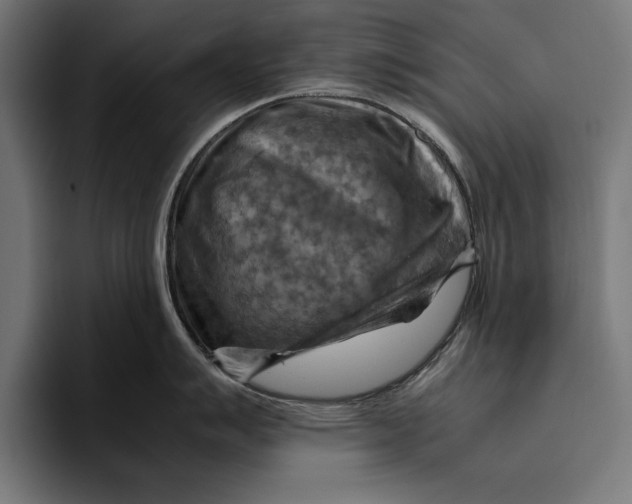 X0000094801007200712071201