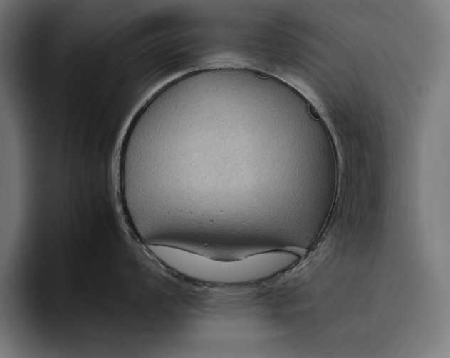 X0000094801008200712071201