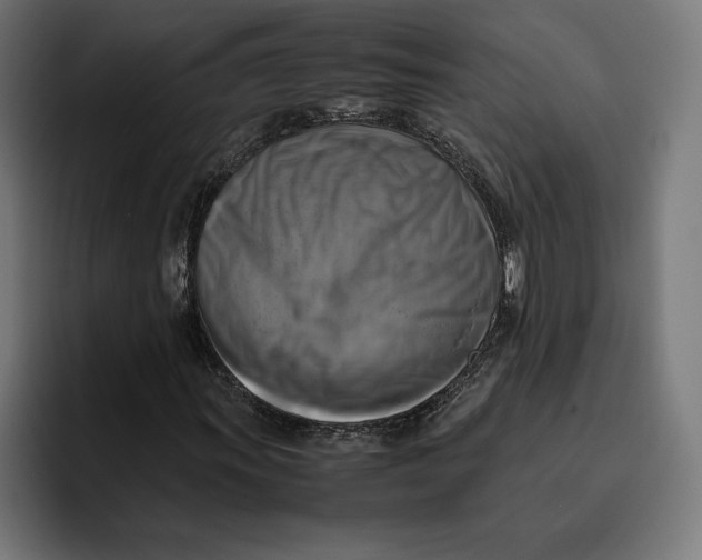 X0000094801011200712071201