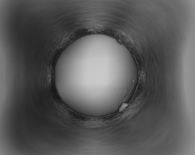 X0000094801012200712071201