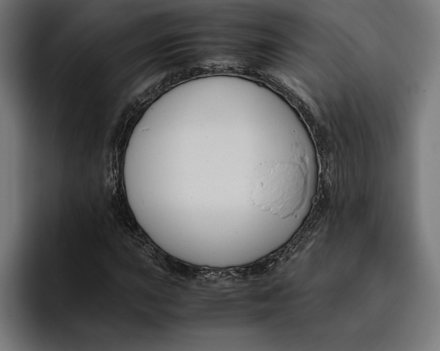 X0000094801015200712071201