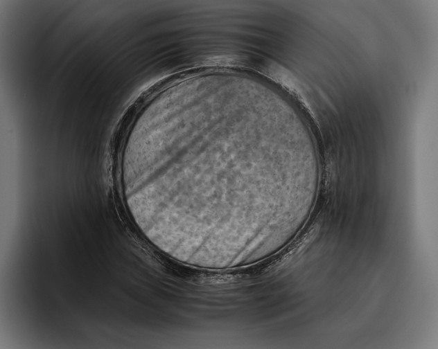 X0000094801019200712071201