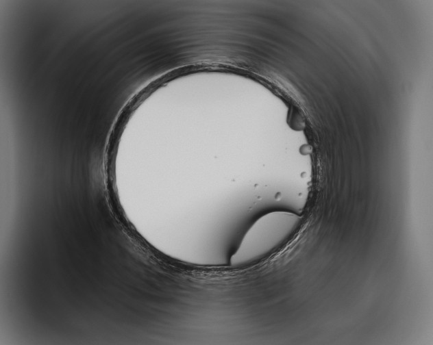 X0000094801020200712071201