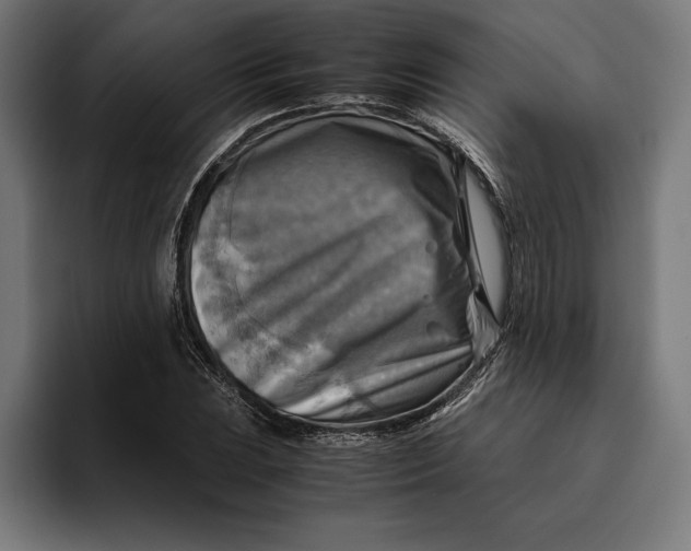 X0000094801023200712071201