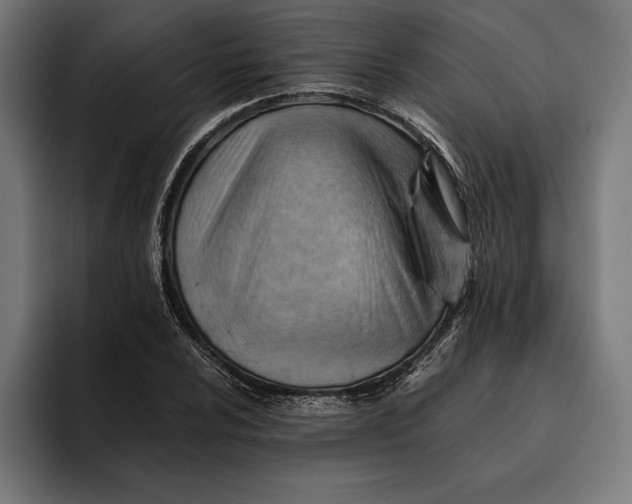 X0000094801024200712071201