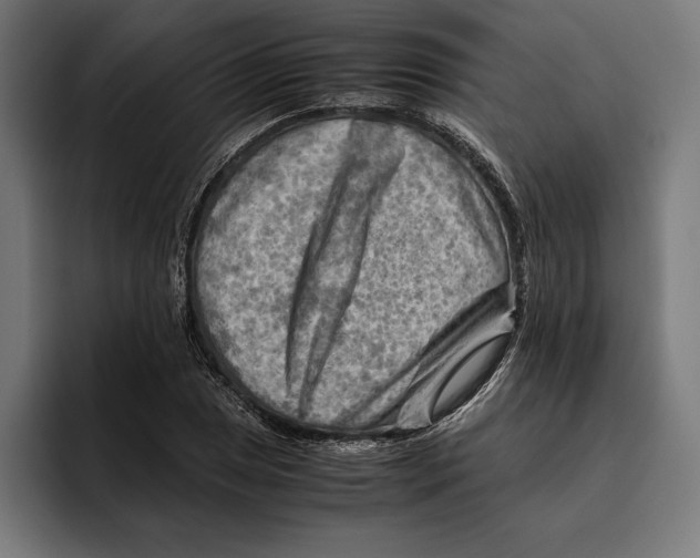 X0000094801025200712071201