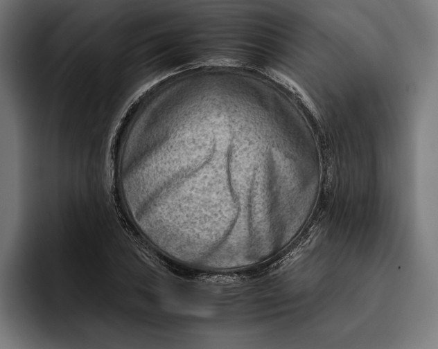 X0000094801027200712071201