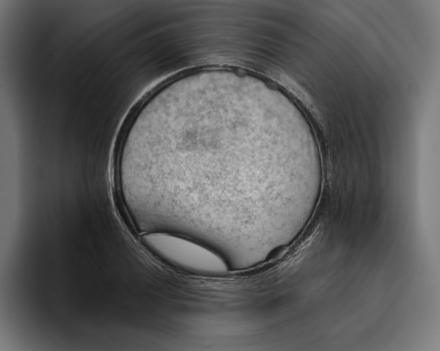 X0000094801028200712071201