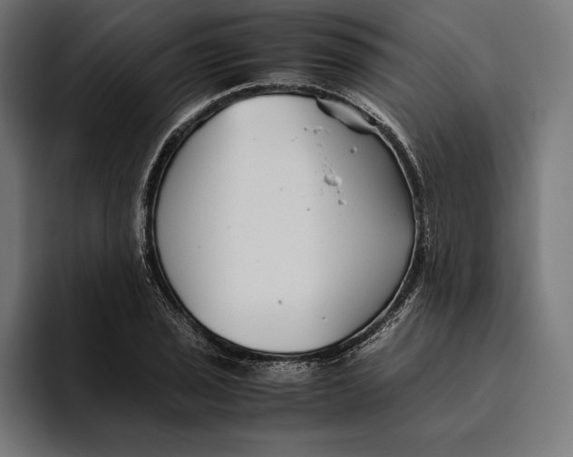 X0000094801029200712071201