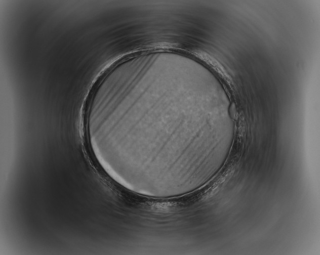 X0000094801031200712071201