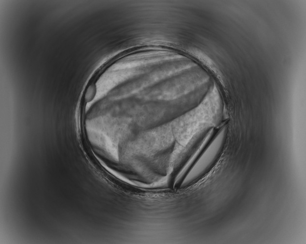 X0000094801032200712071201