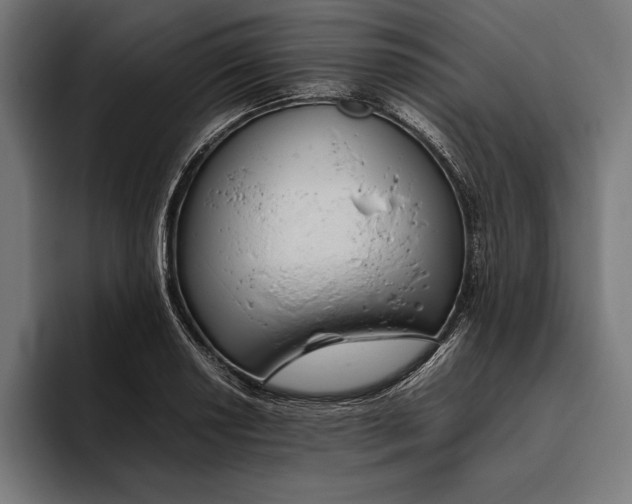 X0000094801034200712071201