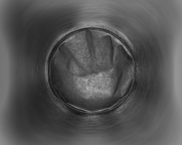 X0000094801035200712071201