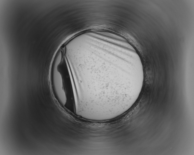 X0000094801036200712071201