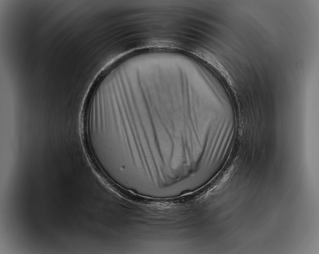 X0000094801037200712071201