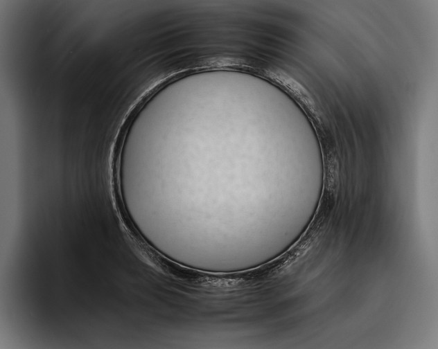 X0000094801039200712071201