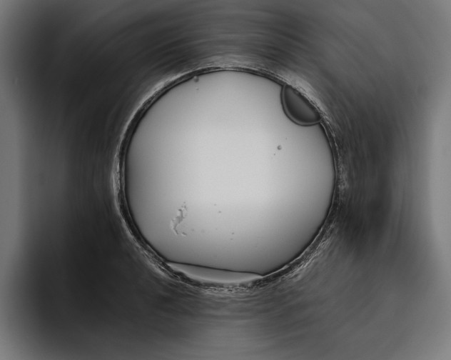 X0000094801040200712071201