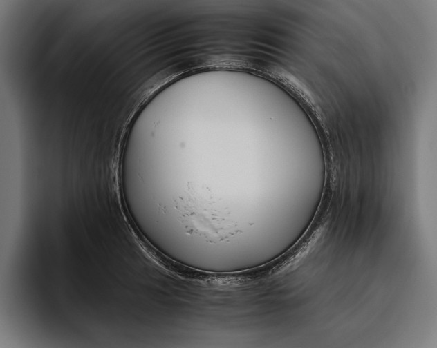 X0000094801041200712071201