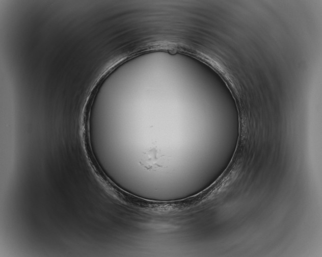 X0000094801042200712071201