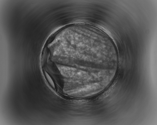 X0000094801045200712071201