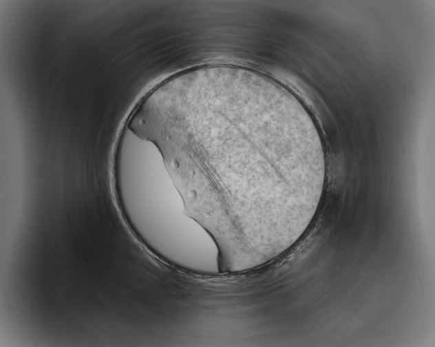 X0000094801048200712071201