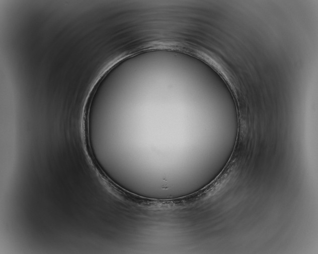 X0000094801050200712071201