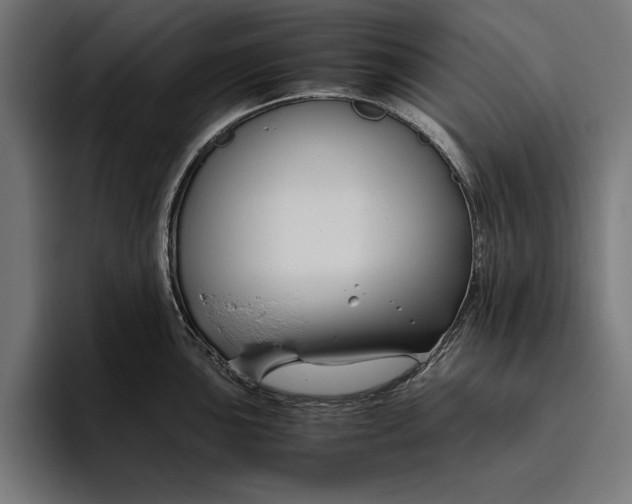 X0000094801051200712071201