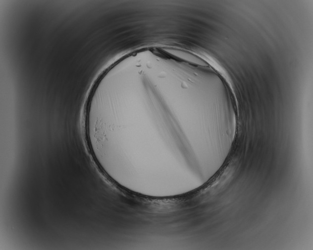 X0000094801053200712071201