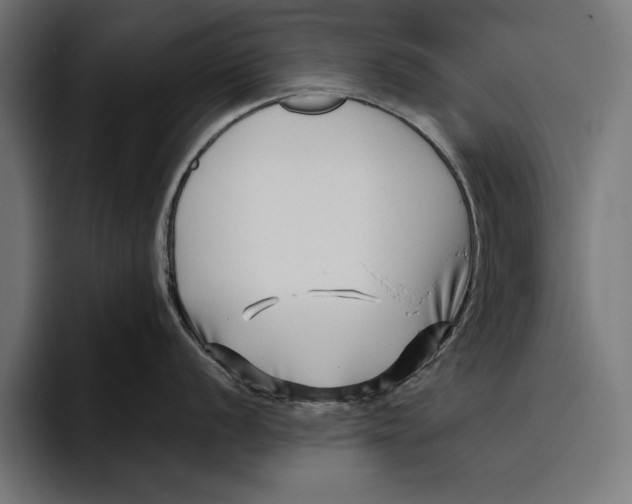 X0000094801056200712071201