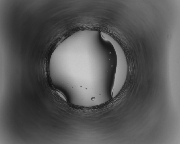 X0000094801060200712071201