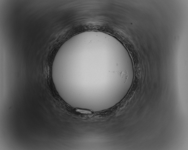 X0000094801061200712071201