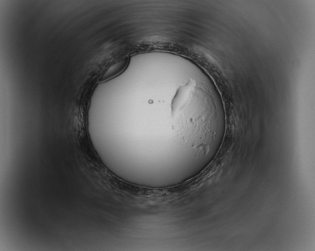 X0000094801062200712071201