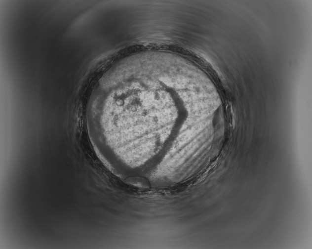 X0000094801063200712071201