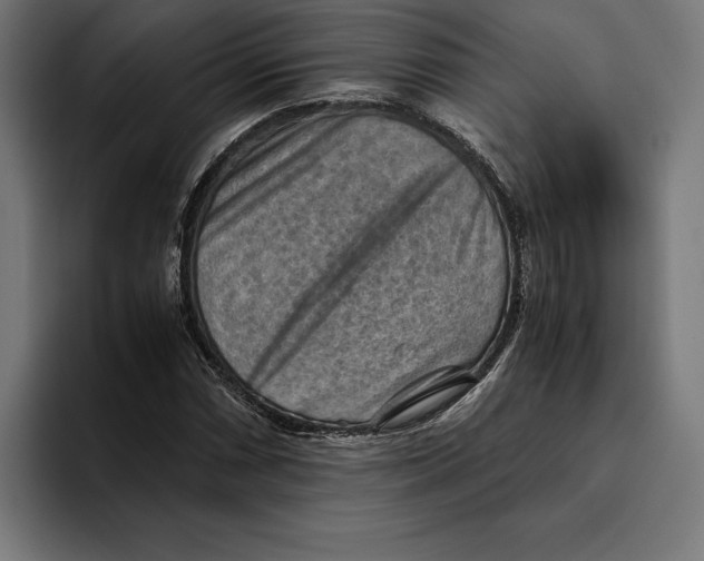 X0000094801066200712071201